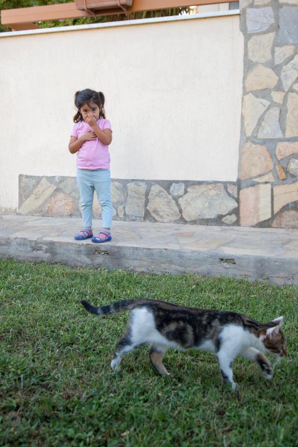 Villa Gardenia Dalyan Bagian luar foto